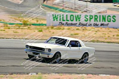 media/May-10-2025-Cobra Club (Sat) [[7b9c5022b1]]/Passenger/